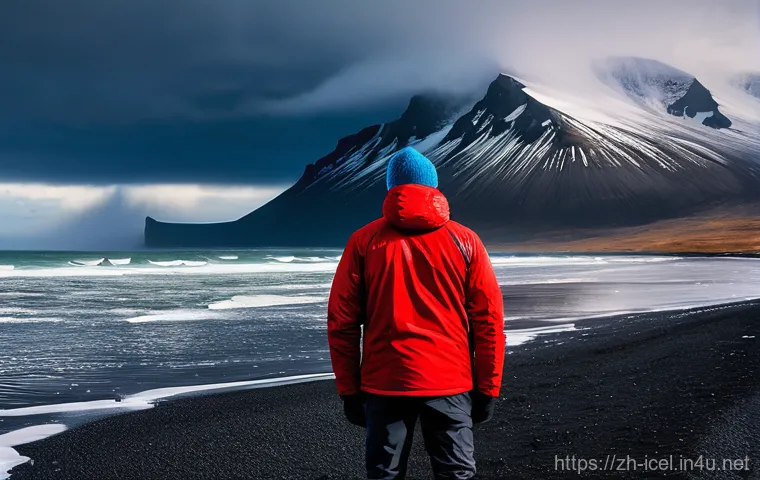 아이슬란드 극지방 기후 - **Prompt 1: Dynamic Icelandic Coastal Landscape with Layered Traveler**
    "A lone male traveler, a...