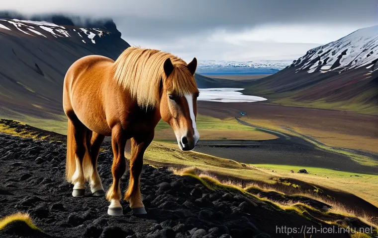 아이슬란드 극지방 기후 - **Prompt 1: Dynamic Icelandic Coastal Landscape with Layered Traveler**
    "A lone male traveler, a...
