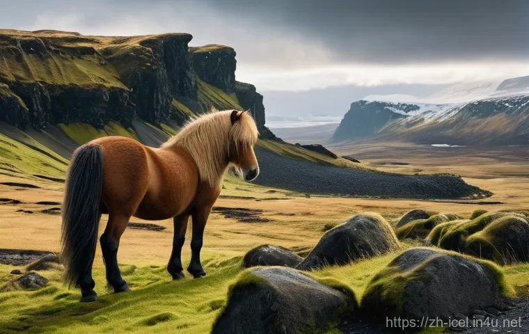 아이슬란드와 다른 나라 비교 - **Prompt:** Inside a charming, eco-friendly cafe or guesthouse in a small, cozy Icelandic town. A fr...