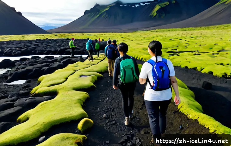 아이슬란드 에코 투어리즘 - Photorealistic Iceland eco-tourism scene, small group of travelers in practical outdoor clothing wal...